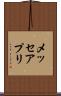メッセアプリ Scroll