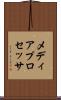 メディア・プロセッサ Scroll