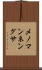 メノマンネングサ Scroll