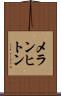 メランヒトン Scroll