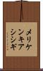 メリケンキアシシギ Scroll