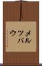 メルツバウ Scroll