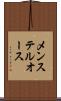 メンステルオース Scroll