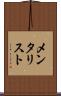 メンタリスト Scroll