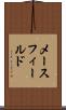 メースフィールド Scroll