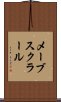 メーブスクラール Scroll