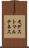 Modesto Martinez Scroll