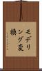 モデリング変換 Scroll