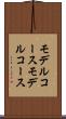 モデルコース Scroll