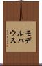 モデルハウス Scroll