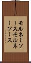 モルネーソース Scroll