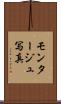 モンタージュ写真 Scroll