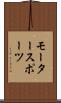 モータースポーツ Scroll