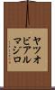 ヤツオビアルマジロ Scroll