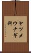ヤツメウナギ科 Scroll