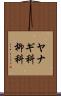 ヤナギ科 Scroll