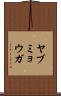 ヤブミョウガ Scroll