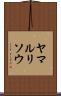 ヤマルリソウ Scroll