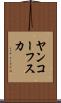 ヤンコーフスカ Scroll