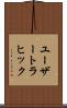 ユーザートラヒック Scroll