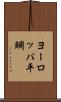 ヨーロッパ平鯛 Scroll