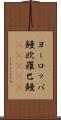 ヨーロッパ鰻 Scroll