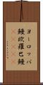 ヨーロッパ鰻;欧羅巴鰻(ateji) Scroll