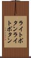 ライトボタン Scroll