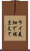 ライ麦畑で捕まえて Scroll