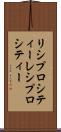 リシプロシティー Scroll