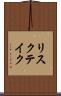 リスクテイク Scroll
