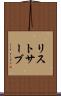 リストサーブ Scroll
