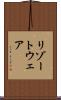 リゾートウェア Scroll