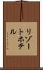 リゾート・ホテル Scroll