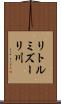 リトルミズーリ川 Scroll
