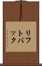 リフトバック Scroll