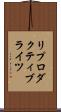 リプロダクティブライツ Scroll