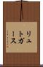リュトガース Scroll