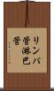 リンパ管 Scroll