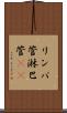 リンパ管 Scroll