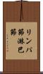 リンパ節 Scroll