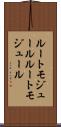 ルートモジュール Scroll