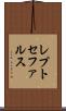 レプトセファルス Scroll
