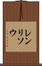 レンリソウ Scroll