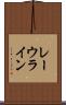レーウライン Scroll
