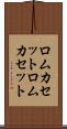 ロムカセット Scroll