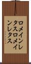 ロメインレタス Scroll