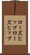 ローズヒップ Scroll