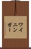 ワイニンガー Scroll