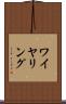 ワイヤリング Scroll